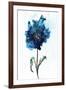 Modern Poppy 1-Smith Haynes-Framed Art Print