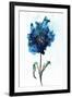 Modern Poppy 1-Smith Haynes-Framed Art Print