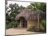 Modern Residential Home in Traditional Tribal Rabari Round Mud Hut, Gujarat State, India-John Henry Claude Wilson-Mounted Photographic Print