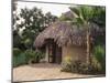 Modern Residential Home in Traditional Tribal Rabari Round Mud Hut, Gujarat State, India-John Henry Claude Wilson-Mounted Photographic Print