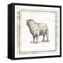 Modern Sheep-Milli Villa-Framed Stretched Canvas