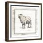 Modern Sheep-Milli Villa-Framed Art Print