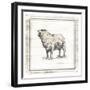 Modern Sheep-Milli Villa-Framed Art Print