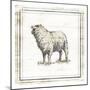 Modern Sheep-Milli Villa-Mounted Art Print