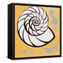 Modern Shell III-Lanie Loreth-Framed Stretched Canvas