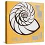 Modern Shell III-Lanie Loreth-Stretched Canvas