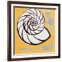 Modern Shell III-Lanie Loreth-Framed Art Print