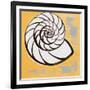 Modern Shell III-Lanie Loreth-Framed Art Print