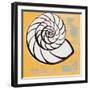 Modern Shell III-Lanie Loreth-Framed Art Print