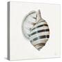 Modern Shell with Teal I-Patricia Pinto-Stretched Canvas