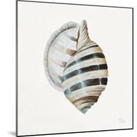 Modern Shell with Teal I-Patricia Pinto-Mounted Art Print