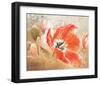 Modern Tulip-Gerard Beauvoir-Framed Art Print