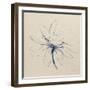 Modern Vintage Floral I Indigo-Avery Tillmon-Framed Art Print