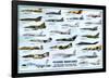 Modern Warplanes-null-Framed Poster