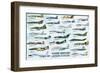 Modern Warplanes-Libero Patrignani-Framed Art Print