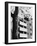 Modernist Flats-null-Framed Photographic Print