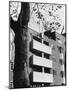 Modernist Flats-null-Mounted Photographic Print