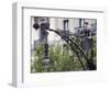 Modernista Lampost on Passeig De Gracia, Barcelona, Catalonia, Spain, Europe-Richard Cummins-Framed Photographic Print