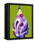 Moderno Bellow IV-Mary Calkins-Framed Stretched Canvas