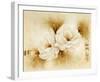 Modest Beauty II-Betty Jansma-Framed Art Print