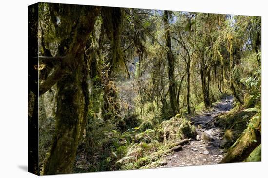 Modi Khola Valley, Annapurna Himal, Nepal, Himalayas, Asia-Ben Pipe-Stretched Canvas