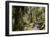 Modi Khola Valley, Annapurna Himal, Nepal, Himalayas, Asia-Ben Pipe-Framed Photographic Print