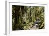 Modi Khola Valley, Annapurna Himal, Nepal, Himalayas, Asia-Ben Pipe-Framed Photographic Print