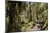 Modi Khola Valley, Annapurna Himal, Nepal, Himalayas, Asia-Ben Pipe-Mounted Photographic Print