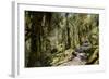 Modi Khola Valley, Annapurna Himal, Nepal, Himalayas, Asia-Ben Pipe-Framed Photographic Print