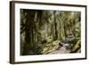 Modi Khola Valley, Annapurna Himal, Nepal, Himalayas, Asia-Ben Pipe-Framed Photographic Print