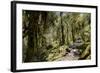 Modi Khola Valley, Annapurna Himal, Nepal, Himalayas, Asia-Ben Pipe-Framed Photographic Print