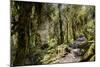 Modi Khola Valley, Annapurna Himal, Nepal, Himalayas, Asia-Ben Pipe-Mounted Photographic Print