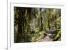 Modi Khola Valley, Annapurna Himal, Nepal, Himalayas, Asia-Ben Pipe-Framed Photographic Print