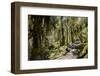 Modi Khola Valley, Annapurna Himal, Nepal, Himalayas, Asia-Ben Pipe-Framed Photographic Print