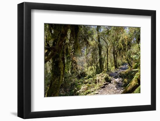 Modi Khola Valley, Annapurna Himal, Nepal, Himalayas, Asia-Ben Pipe-Framed Photographic Print