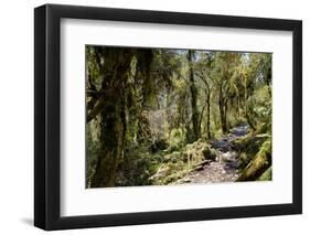 Modi Khola Valley, Annapurna Himal, Nepal, Himalayas, Asia-Ben Pipe-Framed Photographic Print