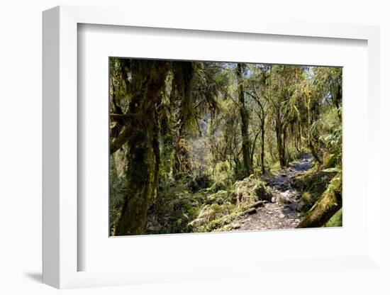 Modi Khola Valley, Annapurna Himal, Nepal, Himalayas, Asia-Ben Pipe-Framed Photographic Print