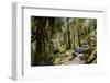 Modi Khola Valley, Annapurna Himal, Nepal, Himalayas, Asia-Ben Pipe-Framed Photographic Print