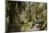 Modi Khola Valley, Annapurna Himal, Nepal, Himalayas, Asia-Ben Pipe-Mounted Photographic Print