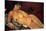Modigliani: Nude, 1917-Amedeo Modigliani-Mounted Giclee Print