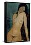 Modigliani: Nude, C1917-Amedeo Modigliani-Framed Stretched Canvas