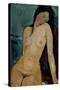 Modigliani: Nude, C1917-Amedeo Modigliani-Stretched Canvas