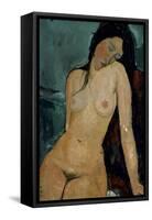 Modigliani: Nude, C1917-Amedeo Modigliani-Framed Stretched Canvas