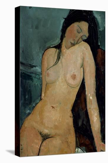 Modigliani: Nude, C1917-Amedeo Modigliani-Stretched Canvas