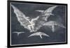 Modo De Volar-Francisco de Goya-Framed Photographic Print