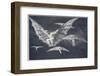 Modo De Volar-Francisco de Goya-Framed Photographic Print