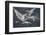Modo De Volar-Francisco de Goya-Framed Photographic Print