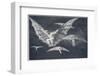 Modo De Volar-Francisco de Goya-Framed Photographic Print