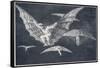 Modo De Volar-Francisco de Goya-Framed Stretched Canvas