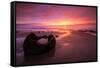 moeraki-1-Lincoln Harrison-Framed Stretched Canvas